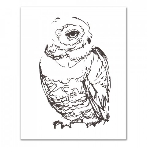 Owl Sketch 16x20 Canvas Wall Art