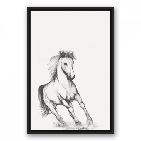 Running Horse Sketch 20x30 Black Floating Framed Canvas