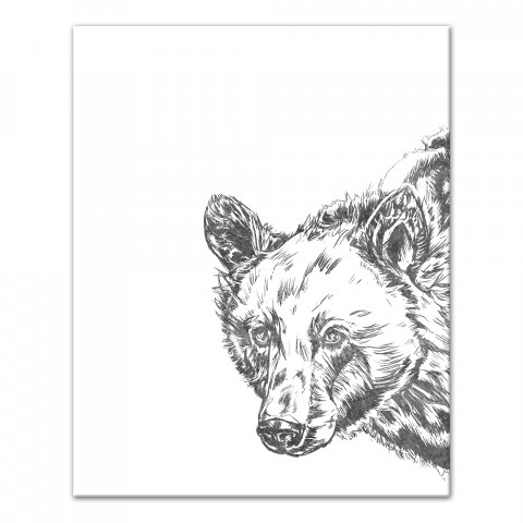 Brown Bear Sketch 24x30 Canvas Wall Art