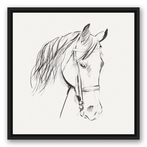 Calm Horse Sketch 20x20 Black Floating Framed Canvas