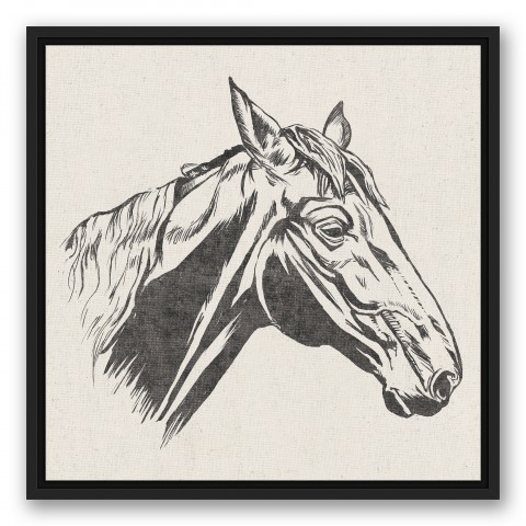 Horse Head Sketch 20x20 Black Floating Framed Canvas