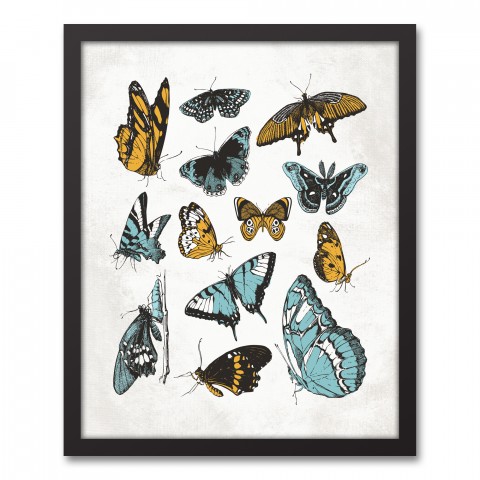 Vintage Butterflies 16x20 Black Framed Canvas