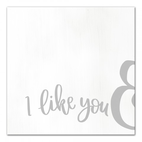 I Like You & 12x12 Canvas Wall Art