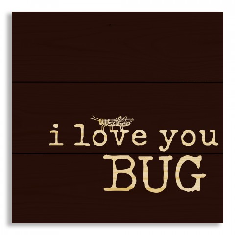 I Love You Bug 10.5x10.5 Pallet Wood Art