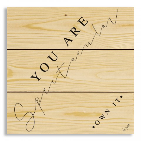 You Are Spectacular 10.5x10.5 Pallet Wood Art