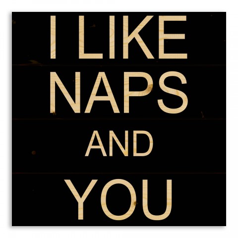 I Like Naps And You 14x14 Pallet Wood Art