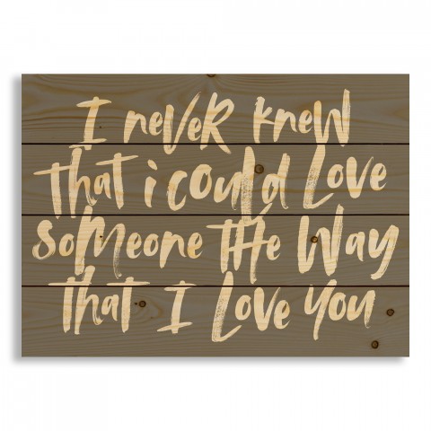 I Never Knew That I Could Love Someone The Way That I Love You 20x14 Pallet Wood Art