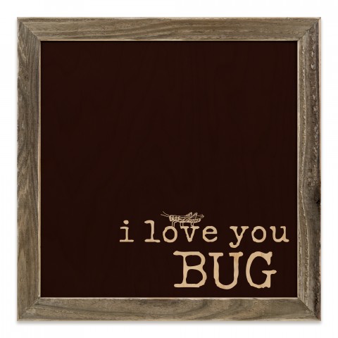 I Love You Bug 12x12 Framed Pallet Wood Art