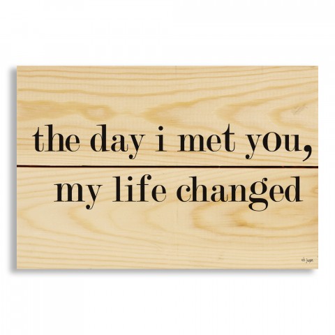 The Day I Met You, My Life Changed 10.5x7 Pallet Wood Art