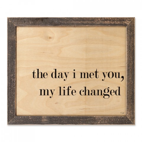 The Day I Met You, My Life Changed 14x11 Framed Pallet Wood Art