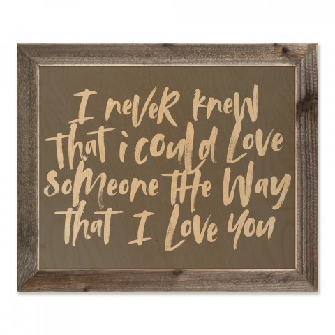 I Never Knew That I Could Love Someone The Way That I Love You 20x16 Framed Pallet Wood Art
