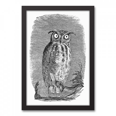Gray Night Owl 12x18 Black Framed Canvas