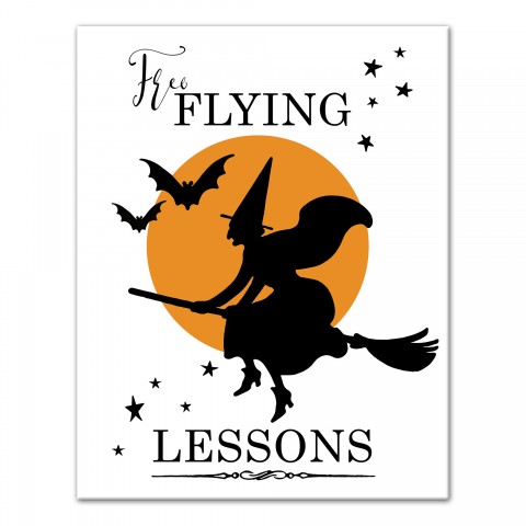 Free Flying Lessons 11x14 Canvas Wall Art