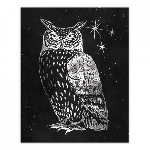 Gray Night Owl 16x20 Canvas Wall Art