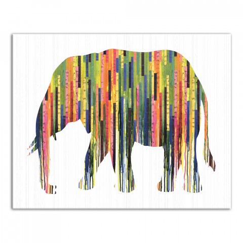 Colorful Elephant 16x20 Canvas Wall Art