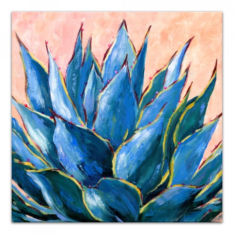Blue and Pink Aloe Plant 30x30 Canvas Wall Art