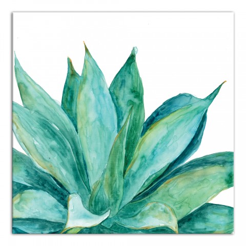 Green Aloe Plant 30x30 Canvas Wall Art