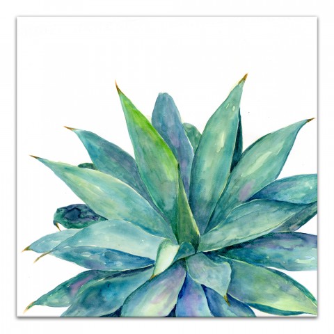 Watercolor Aloe Plant 36x36 Canvas Wall Art