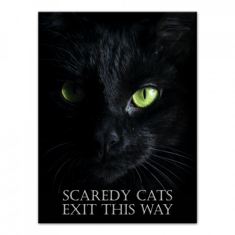 Halloween Black Cat 12x16 Canvas Wall Art