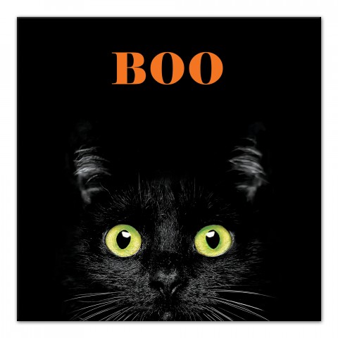 Boo Hallween Cate 12x12 Canvas Wall Art