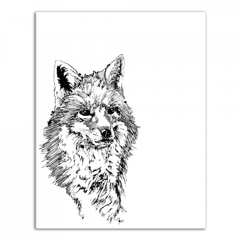 Fox Sketch 11x14 Canvas Wall Art