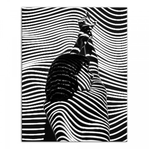 Abstract Zebra Woman 11x14 Canvas Wall Art