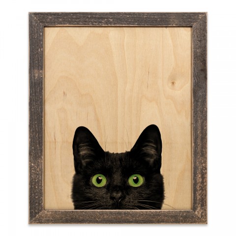 Scaredy Cat 14x11 Framed Wood Print