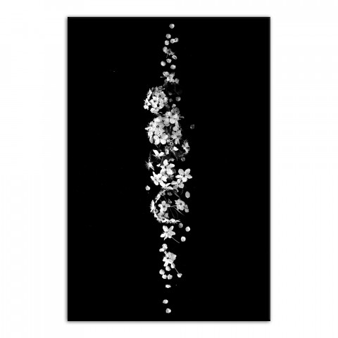 Black and White Floral Midline 24x36 Canvas Wall Art