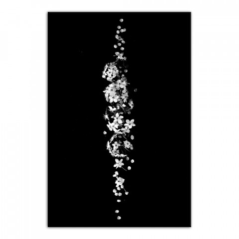 Black and White Floral Midline 32x48 Canvas Wall Art