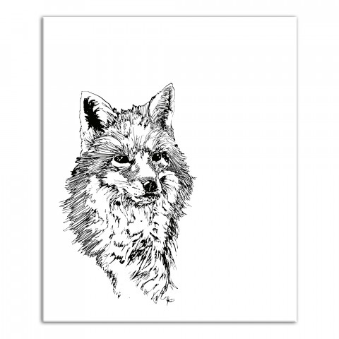 Fox Sketch 20x24 Canvas Wall Art