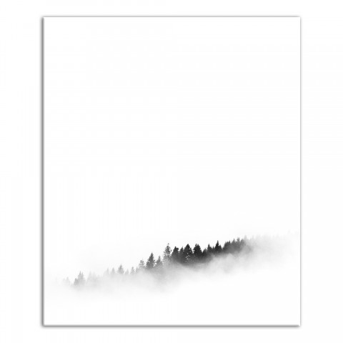 Black and White Foggy Trees 20x24 Canvas Wall Art