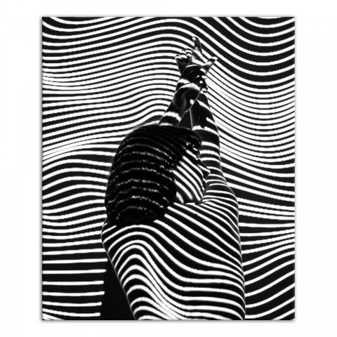Abstract Zebra Woman 20x24 Canvas Wall Art