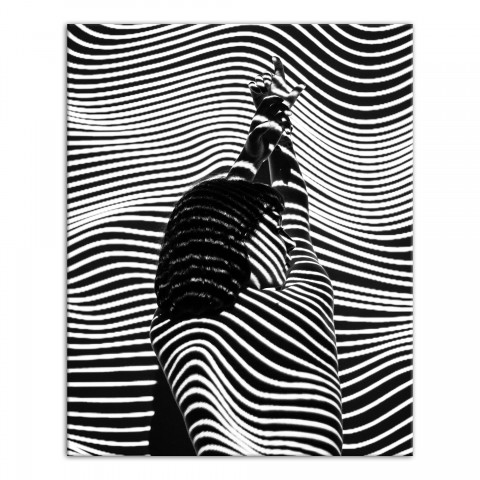 Abstract Zebra Woman 24x30 Canvas Wall Art