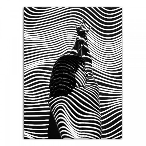 Abstract Zebra Woman 30x40 Canvas Wall Art