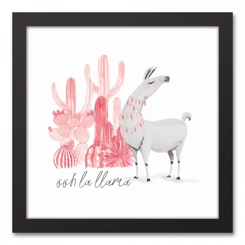 Ooh La Llama 12x12 Black Framed Canvas