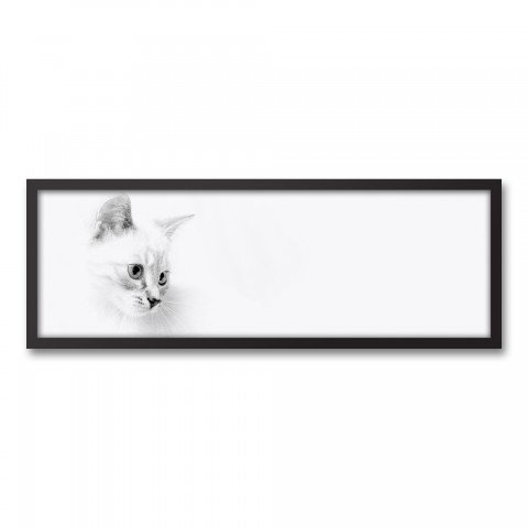 Black and White Kitty Wall Art