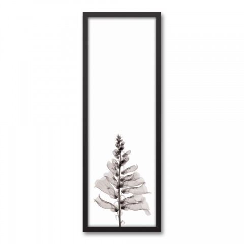 Transparent Black and White Flower Wall Art