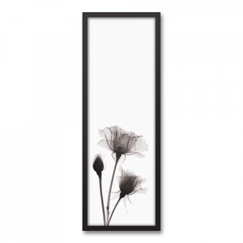 Transparent Black and White Rose Wall Art