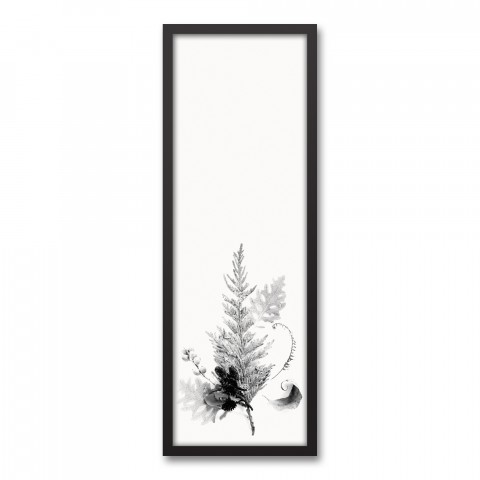 Black and White Transparent Fern Wall Art