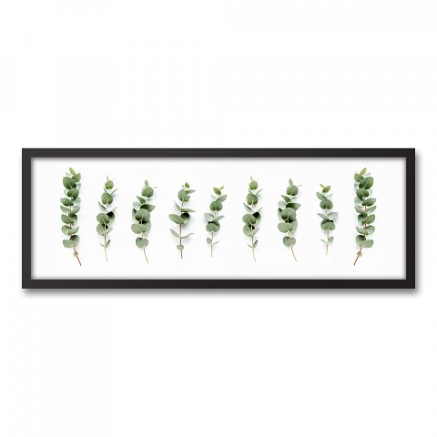 Eucalyptus Branches Wall Art