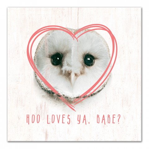 Owl Love Canvas Wall Art