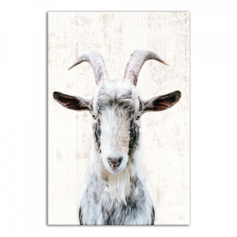 Farmhouse Goat 24x36 Canvas Wall Art