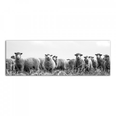 Black and White Sheep 12x36 Canvas Wall Art
