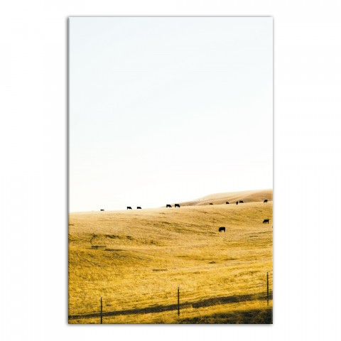 Cows in the Pasture 32x48 Canvas Wall Art
