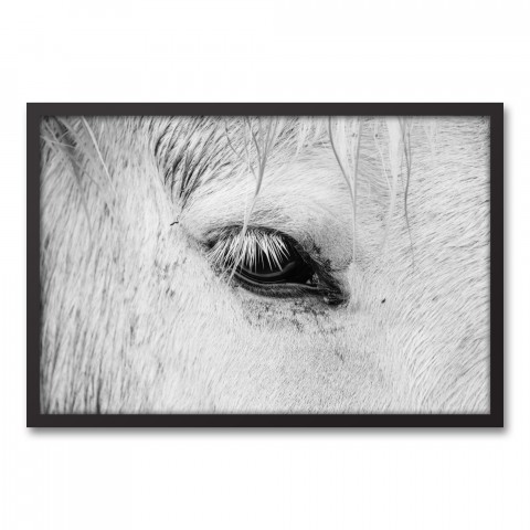 Horse Eye Black and White 20x30 Black Framed Canvas