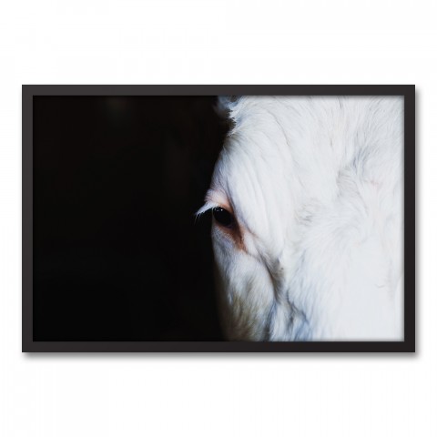 Abstract Cow Eye 20x30 Black Framed Canvas
