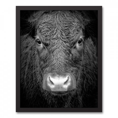 Black and White Cow 16x20 Black Framed Canvas