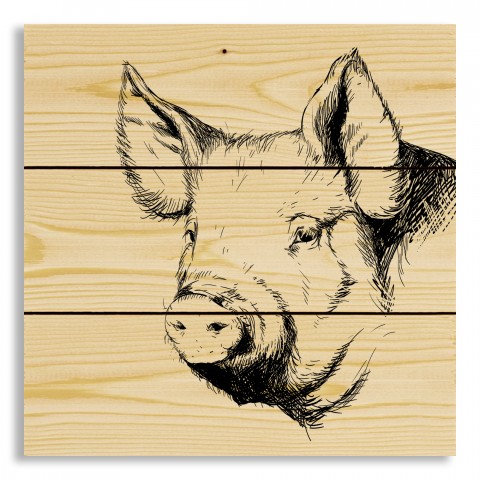 Pig Sketch 10.5x10.5 Pallet Wood Art
