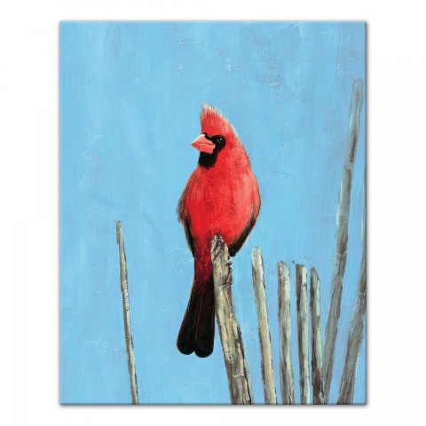 Cardinal On A Branch 16x20 Canvas Wall Art