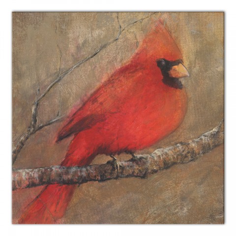 Classic Cardinal On A Branch 20x20 Canvas Wall Art